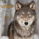 Tushita Wolves 2024: Kalender 2024 (Wonderful World)