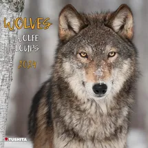 Tushita Wolves 2024: Kalender 2024 (Wonderful World)