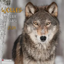Tushita Wolves 2024: Kalender 2024 (Wonderful World)