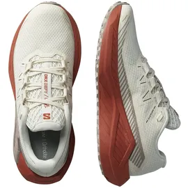 Salomon Damen DRX Defy GRVL Schuhe (Größe 39 , weiss)