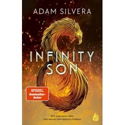 Infinity Son (Bd. 1)