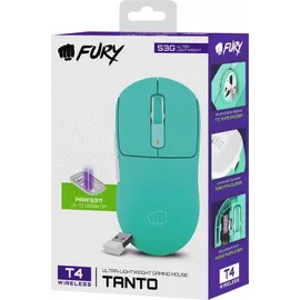 Fury Tanto T4 Mint