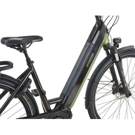 Prophete Geniesser 5.0 Damen 48 V Schwarz-Silbergrün 28 Zoll