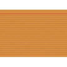 Brunnen Karteikarten A5 liniert orange