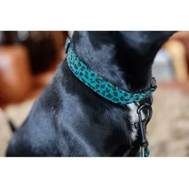 Kentucky Hundehalsband Eidechse beige XL\'45-75cm