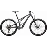 Specialized Stumpjumper 15 Comp 2025 29 Zoll RH 0 cm Unisex gloss smoke 'n' cool grey
