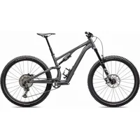 Specialized Stumpjumper 15 Comp 2025 29 Zoll RH 0 cm Unisex gloss smoke 'n' cool grey