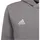 Adidas Entrada 22 Hoodie Kinder grau 164