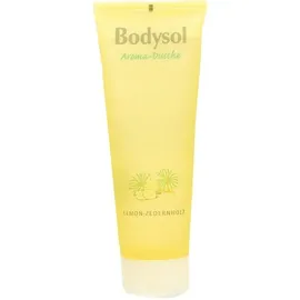 Bodysol Aroma Duschgel Lemon Zedernholz