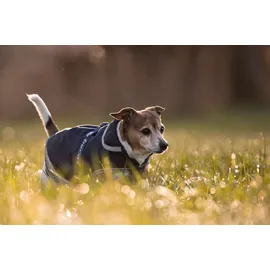 Bucas Freedom Hundedecke 40, navy