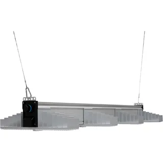 SANlight Evo 4-100 265W 1.5 für 100 x 100 cm