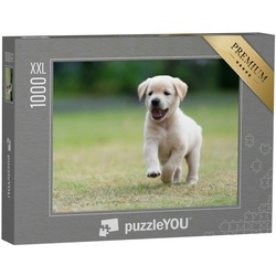 puzzleYOU Puzzle Puzzle 1000 Teile XXL „Spielender Hundewelpe“, 1000 Puzzleteile, puzzleYOU-Kollektionen Hunde, Welpen, Labrador, Golden Retriever