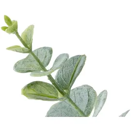 Möbel Kraft Eukalyptus getopft ¦ grün ¦ Kunststoff ¦ Maße (cm): H: 38