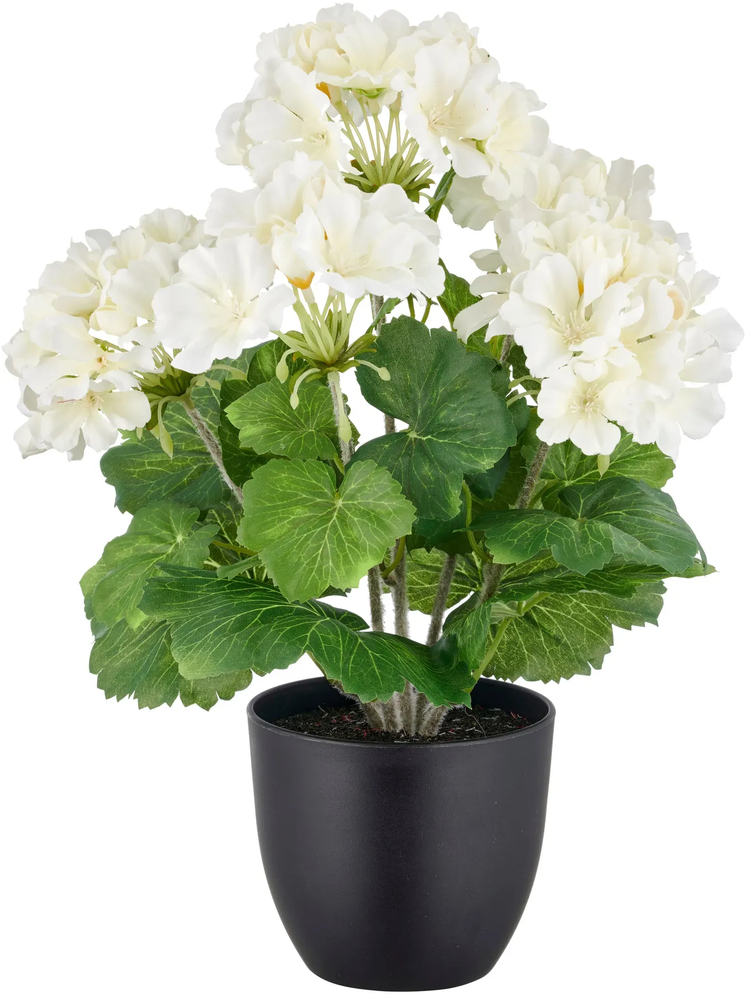 Kunstpflanze CREATIV GREEN "Geranie", weiß, H:36cm, Kunststoff, Kunstpflanzen, in UV-beständiger Ausführung