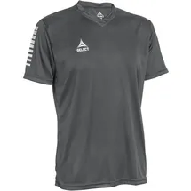 Select Pisa Trikot grau/weiß 3XL