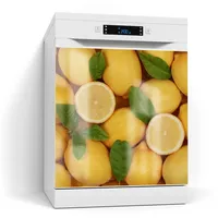 Deqori Magnetfolie für Spülmaschine 60x60 cm | Motiv Zitronige