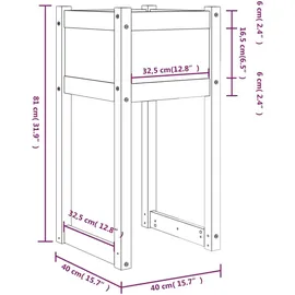 vidaXL Pflanzkübel 40 x 40 x 81 cm Schwarz