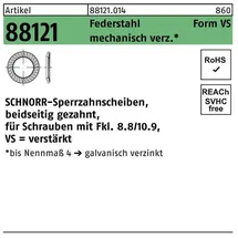 SCHNORR Sperrzahnscheibe R 88121 beidseitig gezahnt VS 10 x 16 x 1,5 1000 Stück