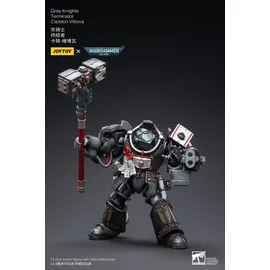Warhammer Grey Knights Terminator Caddon Vibova 13 cm