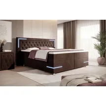 luxusbetten24 Carlotta 200 x 200 cm Braun