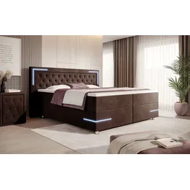 luxusbetten24 Carlotta 200 x 200 cm Braun