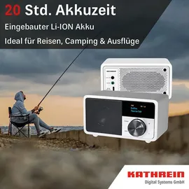 Kathrein DAB+ 1 mini holz dunkel