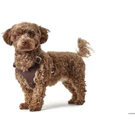 Hunter Geschirr Aalborg