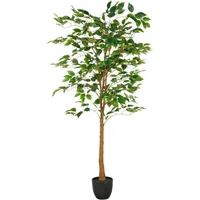 Creativ green Kunstbaum »Ficus Benjamina« mit naturgetreuem Blattwerk und