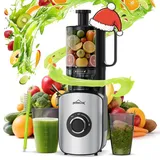 Homelux Entsafter 220W Slow Juicer 126 MM Einfüllschacht für Ganze Gemüse und Obst Kaltentsafter Elektrische mit 2 Tassen Reinigungsbürste, Silber