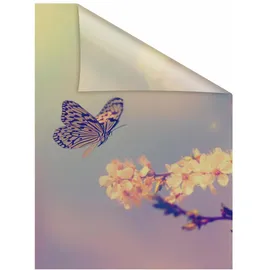 Lichtblick Fensterfolie Schmetterling Blüte«, 1 St., blickdicht, strukturiertKlebepunkte, selbstklebend, Sichtschutz, orange B/L: ca. 50x50 cm