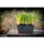 ArtStone Balkonkasten Ella 37 x 17 x 17 cm schwarz