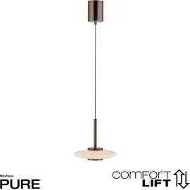Paul Neuhaus PURE Vitrum 1-flg. höhenverstellbar 60 cm dunkelbraun