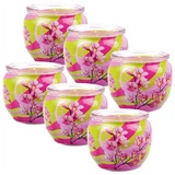 HS Candle Duftkerze Motiv 6er Pack Blütenzauber