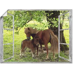 Wandbild ARTLAND "Fensterblick - Pony mit Kind", grün (farbe bild(er): grün), B:60cm H:45cm T:0,1cm, Papier, Bilder, als Leinwandbild, Poster, Wandaufkleber in verschied. Größen