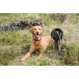 Trixie Schleppleine Rustic Fettleder, 10 M, S–L: dunkelbraun