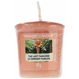 Yankee Candle The Last Paradise Votivkerze 49 g