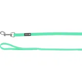 Karlie Hundeleine – Trainings- und Suchleine mit Handschlaufe – 5m x 13mm – Flamingo Caspar Mintgrün – Biothane – Karabiner verchromt