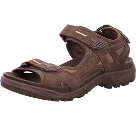 ECCO Offroad Herren dark clay 46