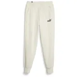 Puma Essentials Logo Pants FL cl (s) alpine snow