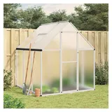 vidaXL Gewächshaus mit Fundamentrahmen Silbern 169x169x195 cm Alu