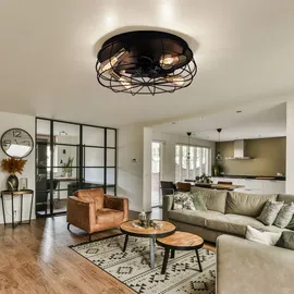 STARLUNA Deckenventilator 48,5 cm Metall Schwarz