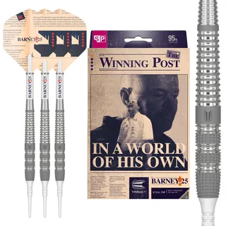 Target Darts Raymond Van Barneveld RVB 25 Year Edition 20G 95% Wolfram Soft Tip Darts Set