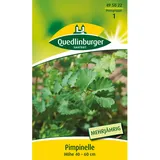 Quedlinburger Pimpinelle
