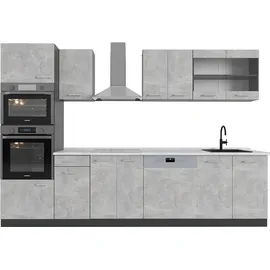 Vicco Küchenzeile R-Line 300 cm Grau