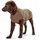 Hunter Malmö Hundepullover 25 cm Grau