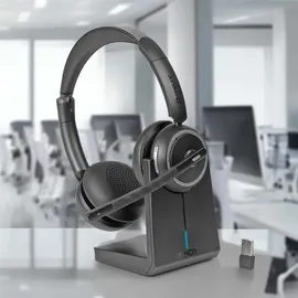 Lindy L118 Schwarz