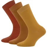 Ewers 3er-Pack Socken Uni, einfarbige Basic-Socken für Mädchen und Jungen, Baumwolle, MADE IN GERMANY, Mädchensocken Jungensocken Kindersocken Unisocken, Größe 35-38, Braun - 35-38