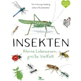 Magellan Insekten - Kleine Lebewesen, große Vielfalt
