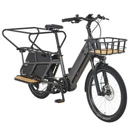 Prophete Urbanicer 4.0 Urban E-Bike 20"/24"