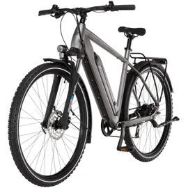 Fischer Terra 2.2 29 Zoll RH 55 cm Unisex grau